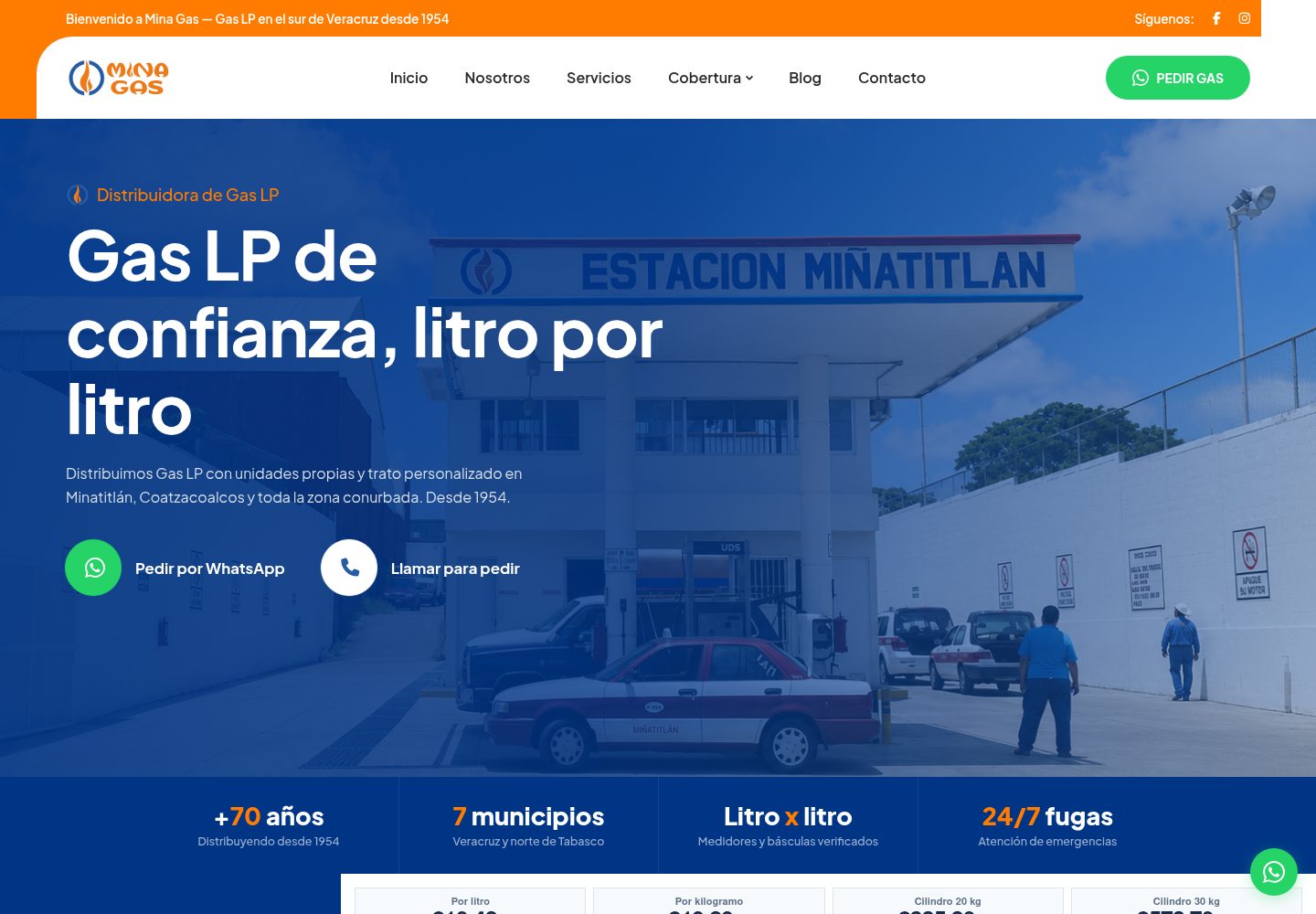 Sitio web Minagas